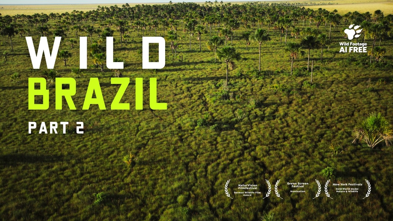 Brazil's Wild Highlands - Secrets of the Cerrado Grasslands | Full Documentary