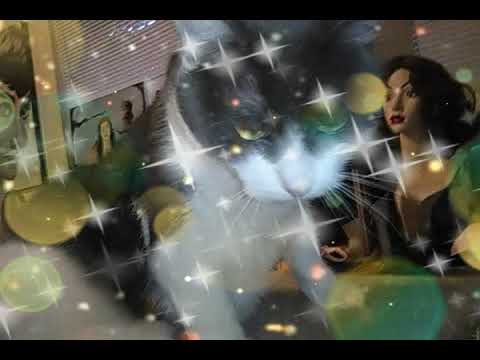 More Josette: In A Twilight Wonderland