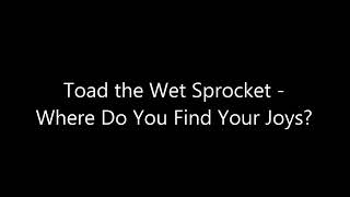 Toad the Wet Sprocket - Where Do You Find Your Joys demo circa 1991