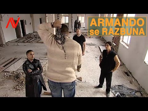 ARMANDO kills STIUCA.... Augustin Viziru in REGINA (showreel sequences)