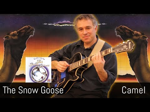 The Snow Goose, Camel, fingerstyle guitar #camel #thesnowgoose #andrewlatimer