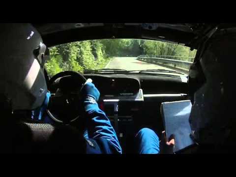 Cameracar Rally del Taro 2014 Gardini-De Vincenzi Clio W A7 9°assoluti 3°classe - PS 8