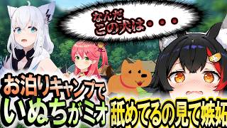 ミオといちゃつくいぬち！不思議な感情が湧いてきたフブキ #金コイフブさん【白上フブキ･大神ミオ】 ホロライブ切り抜き