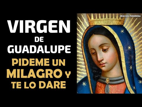 Pídeme un Milagro y te lo Daré, Virgen de Guadalupe, Oración Milagrosa
