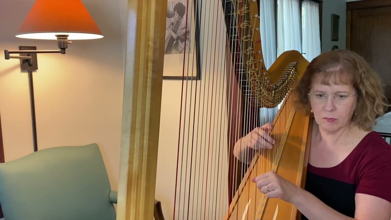 Promotional video thumbnail 2 for Renee Wilson, Harpist