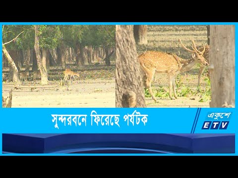 নৈসর্গ্রিক সৌন্দর্যের আধার সুন্দরবন