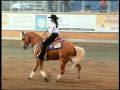 Tammy Greaves Jac Wonders Who FEI Worlds 2008 Run In Mpeg