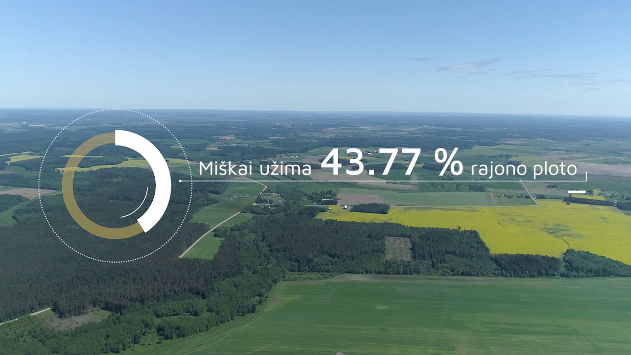 Šalčininkai - 2T1 - Rajonas verslui (tyzeris)