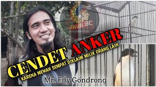 Download lagu Cendet Anker, Fakta dan Keberadaanya | Materi Mewah 2020 | Mr. Edy Gondrong Java BC Situbondo mp3