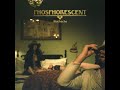 Phosphorescent - The Quotidian Beasts