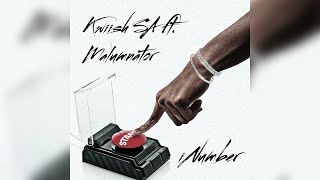 Download lagu Kwiish SA - iNumber (feat. Malumnator) - [Visualizer] mp3