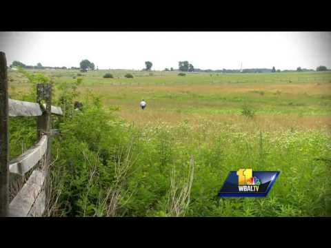 150 years later, Gettysburg general's moves still controversial