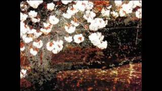 Kitaro - Inner Lights