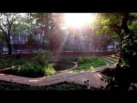 A momentary pause in time by Sthanik