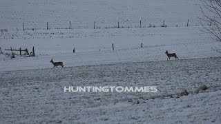 Rehwildjagd im Winter
