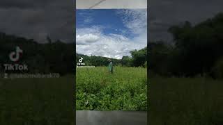 Download lagu Cover Rizky Febian - Penantian Berharga (Chorus) mp3