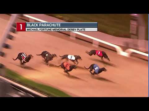2020 MICHAEL FORTUNE DERBY PLATE - T1 BLACK PARACHUTE