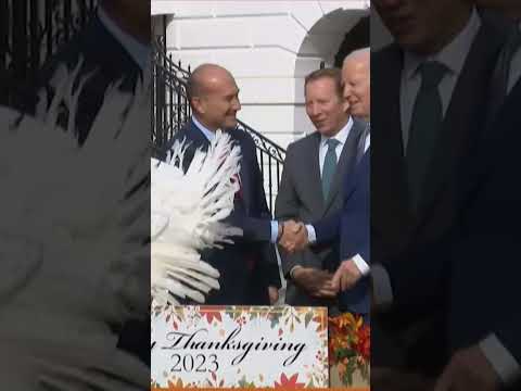 Biden pardons two turkeys ahead of Thanksgiving in annual tradition Shorts