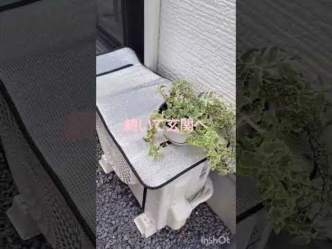 屋外に日本庭園を設置するにはどうすればよいですか？成功するための専門家の 5 つのヒント!  庭園