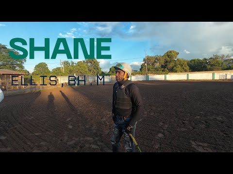 Jack Daniel REJECTED RAJA AND......DCE 23 025 CAYMANAS PARK MORNING WORKOUT