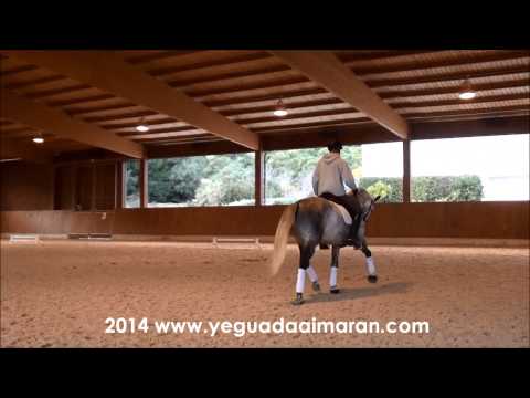 "Amaranto de Aimaran" Clinic con Rafael Soto: El Calentamiento