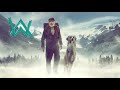 Alan Walker The True Leader Official Video