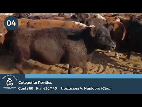 Lote Nv Consumo - Villa Huidobro Córdoba