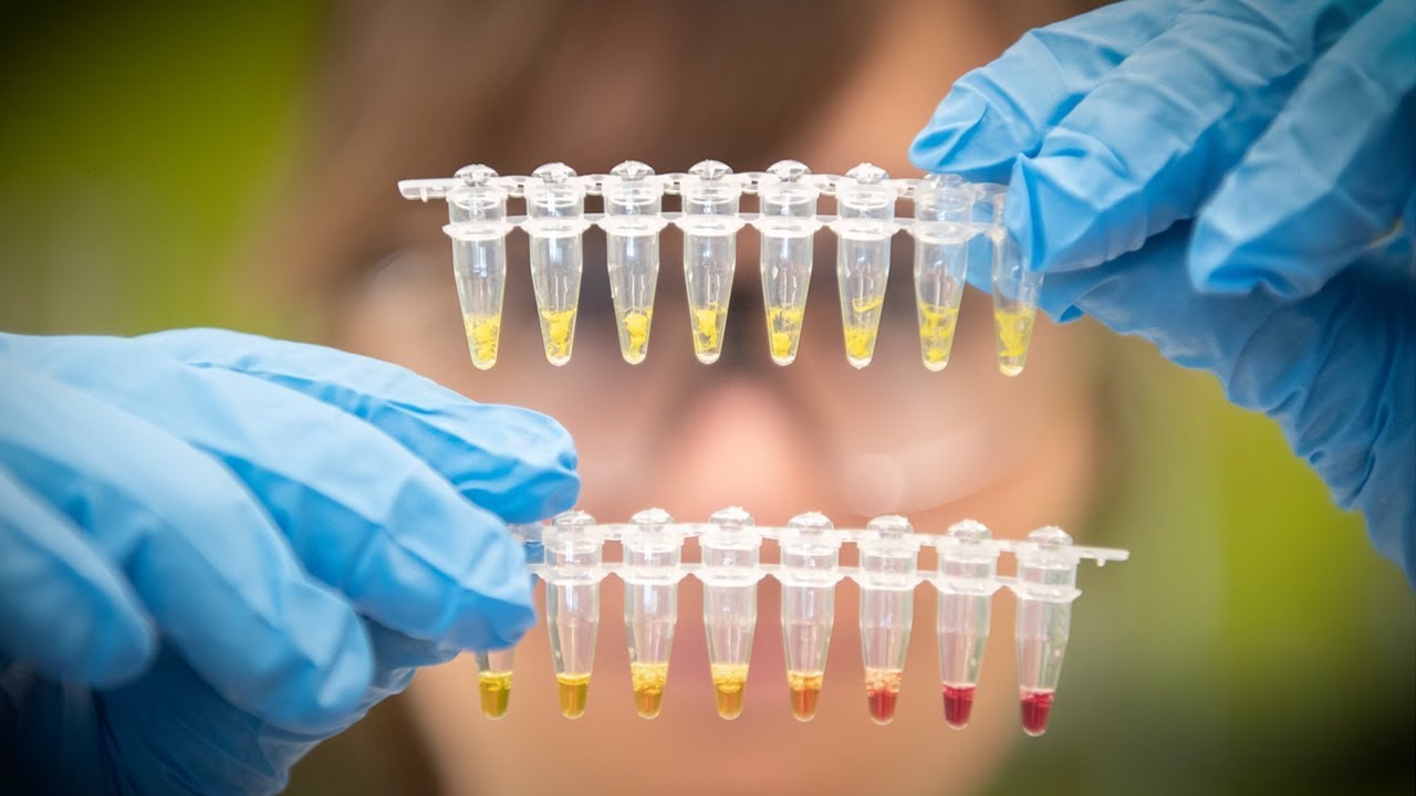 New field test detects nutrient deficiencies