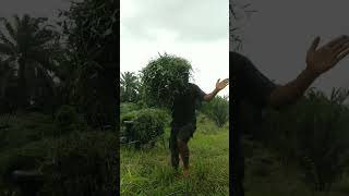 Download lagu Tukang ngarit mari joget#edukasi #shots@kreatorpensil@Doyokchnel1183 mp3 Download lagu Tukang ngarit mari joget#edukasi #shots@kreatorpensil@Doyokchnel1183 mp3