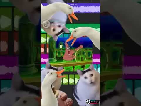 The ADHD Song (Magic Melody Random Memes) 1 Hour Loop