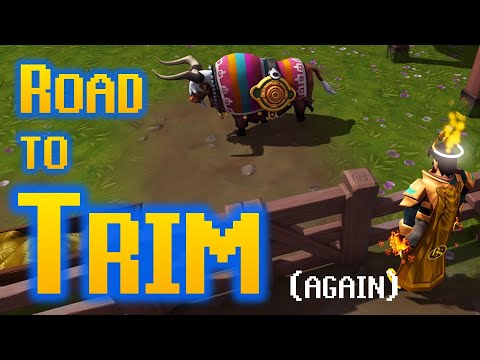 Road to Trim - Episode 2 - DXP Gainz!