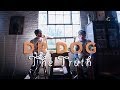 Dr. Dog "The Truth" / Out Of Town Films