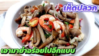 If you've never made this dish before, I'm telling you, you have to try it. I guarantee you won't...