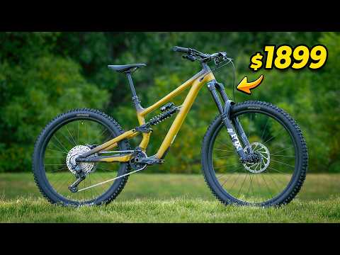 Evans Mtb Saga