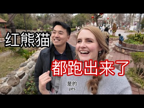 第一次来上海野生动物园，动物竟然可以到处跑！American Girl Tries Pig BRAIN?! 