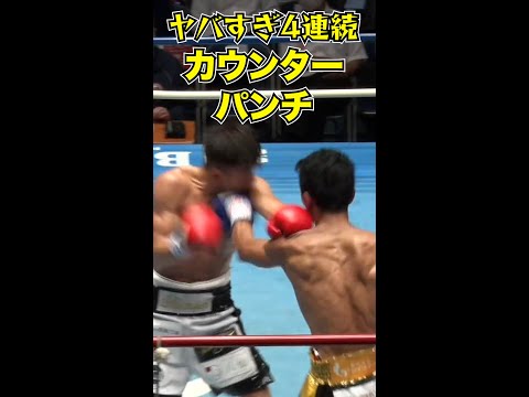 和氣慎吾ヤバすぎる4連続カウンターパンチ　ボクシング#和氣慎吾#和気 #boxing #カウンター