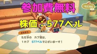 【あつもり】株価577ベル出ました！(The stock price is 577 bells!)【AnimalCrossing】
