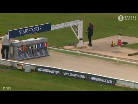 Carreras de Galgos - Towcester 2023 - 🇬🇧 SIS