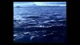 Download lagu 🔴 film lawas  nyi Roro kidul tampa sensor-full movie  🔴 mp3