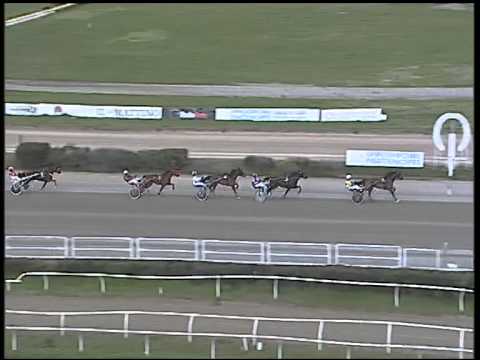 Trotto 26/02/2015 - Prova di qualifica