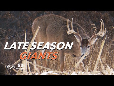 Late Season Giant Whitetails | Monster Buck Moments Presented by Sportsman's Guide