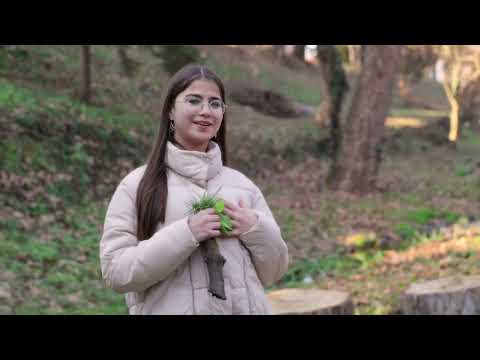 GARI POTER - Kuhinjica (Hercenšlus) - cover