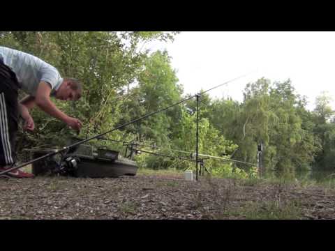 lac des rogers pads lake stek 3