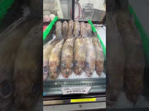 US$ 4,99 o quilo de Rockfish no New Sagaya City Market em Anchorage, Alasca