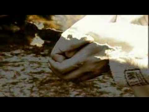 dalibor prochazka daleka i bliska