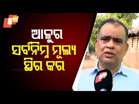 Govt Must Stabilize Potato Prices: Sudhakar Panda Raises Concerns