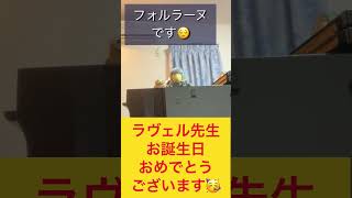 Download lagu イマジネーション研究室3〜番外編 おめでとうラヴェル先生!#ピアノ#名曲#誕生日 mp3 Download lagu イマジネーション研究室3〜番外編 おめでとうラヴェル先生!#ピアノ#名曲#誕生日 mp3