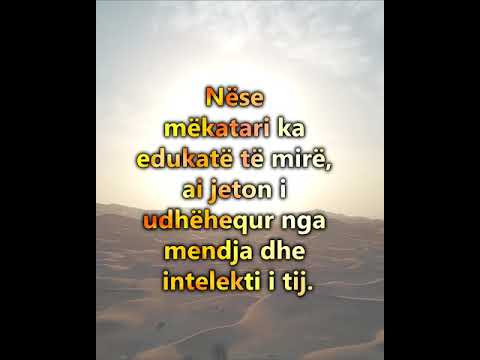 🔸Thënie e artë nga Fudajl bin ‘Ijad (RahimehUllah)