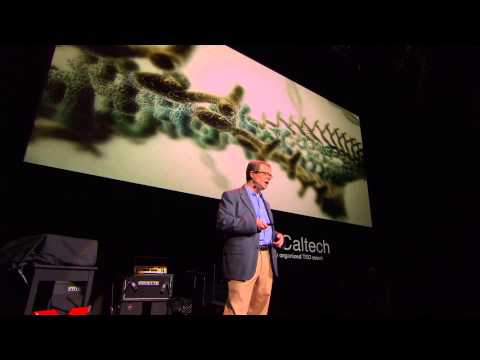 A Map of the Brain: Allan Jones at TEDxCaltech