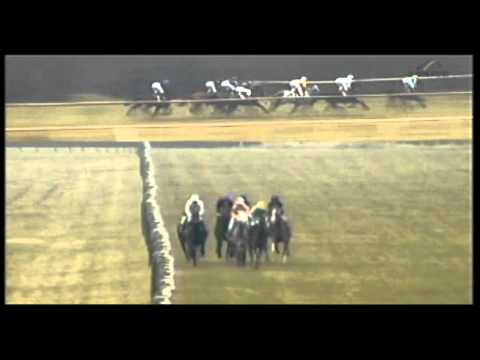 29.03.2013 Bremen 4.Rennen It's Gino-Cup (F) - 2.200 m